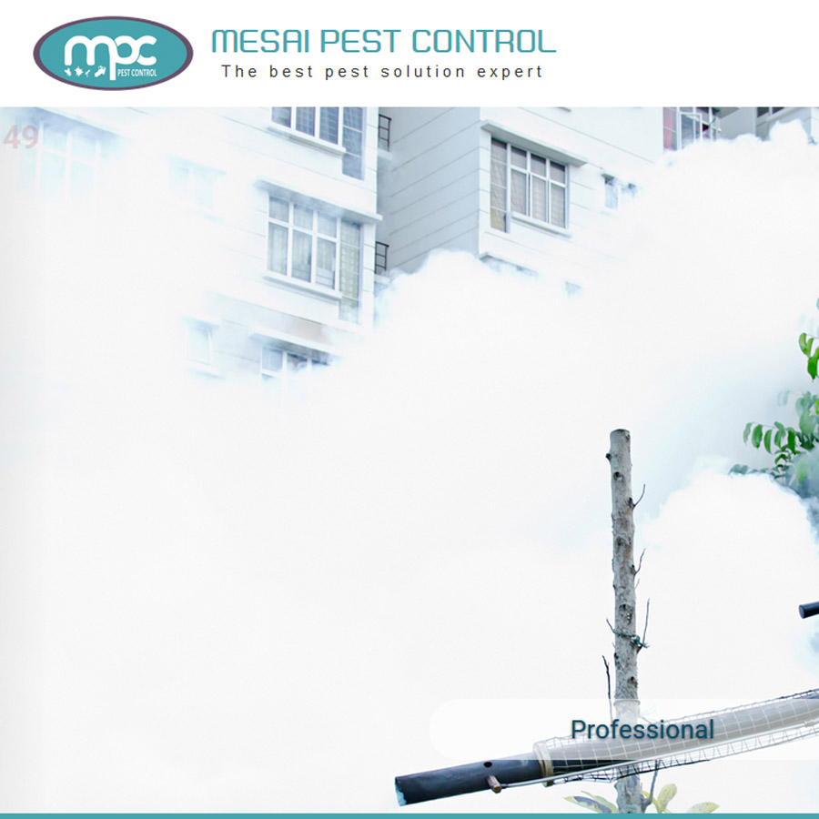Pest Control Website Design